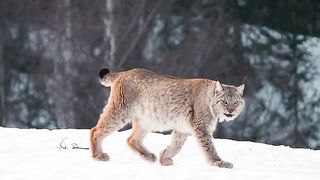 • Há uma vibe de primavera no ar