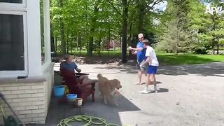 Funny Videos Part 96