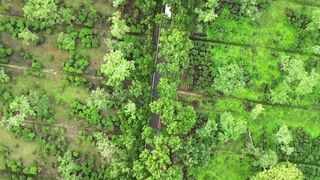 Carrefour - id | Trending HD Video 40