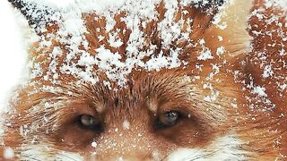 Vestido para qualquer clima ????️????