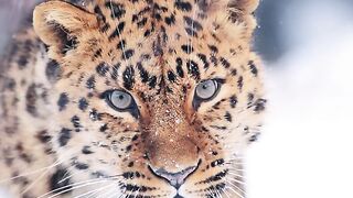 Preciso de um pouco de alegria na minha vida, tipo agora mesmo.