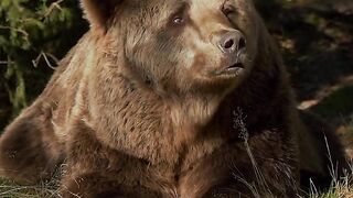 Sempre me lembrarei de você assim, Rugg????????