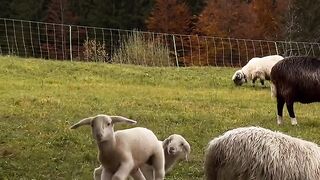 Apenas um monte de pura felicidade_ ????✨????