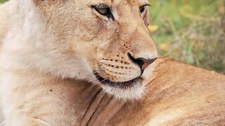 Apenas uma criança aproveitando o sol ????