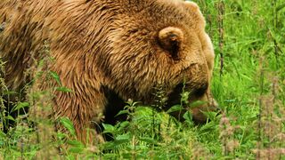 4K Computer Monitor - id | Trending HD Video 107