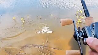Unexpected Big Fish Strike! Calm Pond Turns Into Crazy Fishing Moment ????