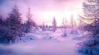 Snow boot - id | Trending HD Video 53