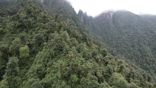 travelite - id | Trending HD Video 250