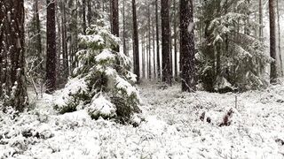 Snow boot - id | Trending HD Video 54