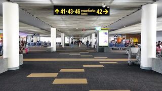 Travelon - id | Trending HD Video 62