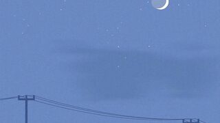 Secrets of Divine Love A Spiritual Journey Into the Heart of Islam - id | Trending HD Video 138