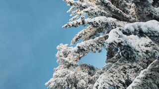 Winterhalter - winter snowboarding in the mountains 5 | Trending HD Video