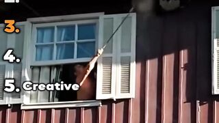 Ranking Best Wasp Nest Removals