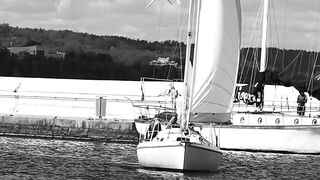 4K Computer Monitor - sailing boat in monochrome scandinavian scene | Trending HD Video