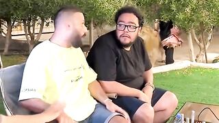 Never stare at a wild dog