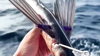 Animal Facts That Will Blow Your Mind