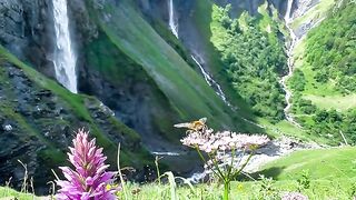 Switzerland Famous Green Beauty 2