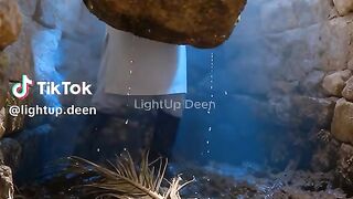 Reja Khan Kufri tavis kare