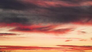 4K Computer Monitor - id | Trending HD Video 110