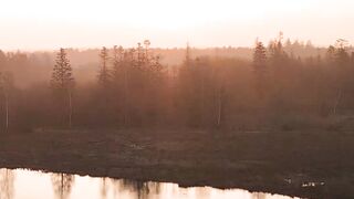 4K Computer Monitor - id | Trending HD Video 111