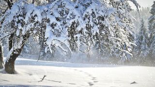 Winter Coat - id | Trending HD Video 89