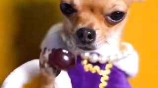 My king in his palace