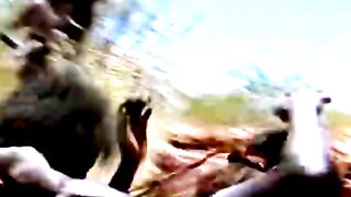 Defending the Ranger