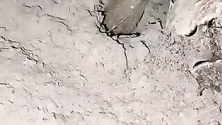 Looking for a fish or eel... Thanks for watching..!! 27