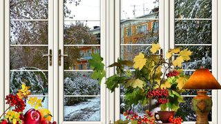 The Shy Snow Woman and the Cursed Ring - id | Trending HD Video 176