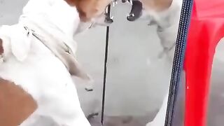 comedy best dog सबसे मज़ेदार कुत्ता