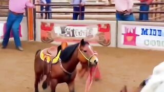 A dog is not merely an animal; it is a human's most loyal friend. Its innocence and affection truly win the heart. If yousure to leave a ❤️ in