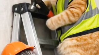 Watch the Best Trending Videos! ????????  #Tr