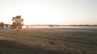 4K Computer Monitor - id | Trending HD Video 118