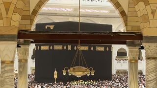 pilgrims at the holy kaaba in mecca | Professional HD Video
