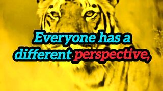 Everyone has a different