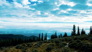 4K Computer Monitor - id | Trending HD Video 121