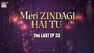 ???? Meri Zindagi Hai Tu Episode 33 is now available with English Subtitles!