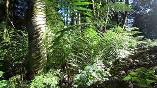 4K Computer Monitor - id | Trending HD Video 122