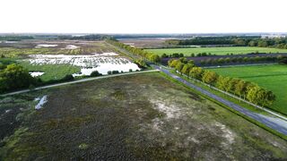 Carrefour - id | Trending HD Video 43