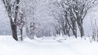 Winter Coat - id | Trending HD Video 91