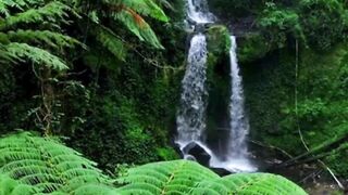 Beautiful nature 276