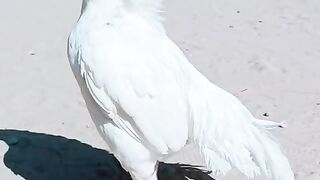 Standing in the way 2