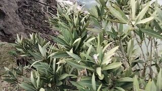 مابعد الفيضانات