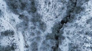 4K Computer Monitor - aerial view of snowy nordic forest landscape | Trending HD Video