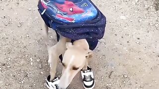 Alright, off to school we go!