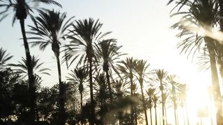 a view of sunset while driving | Professional HD Video