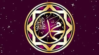 id | Professional HD Video 24