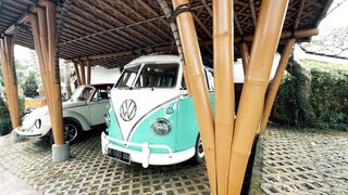 Carrefour - vintage volkswagen vans in tropical setting | Trending HD Video