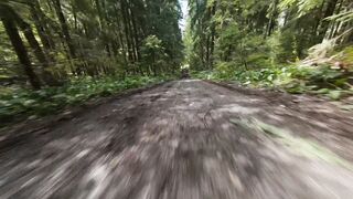 Sportsgirl - drone footage of a riding motocross in the forest | Trending HD Video