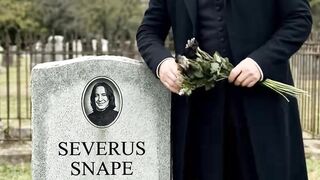 Harry Potter all